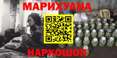 шишки Камышлов