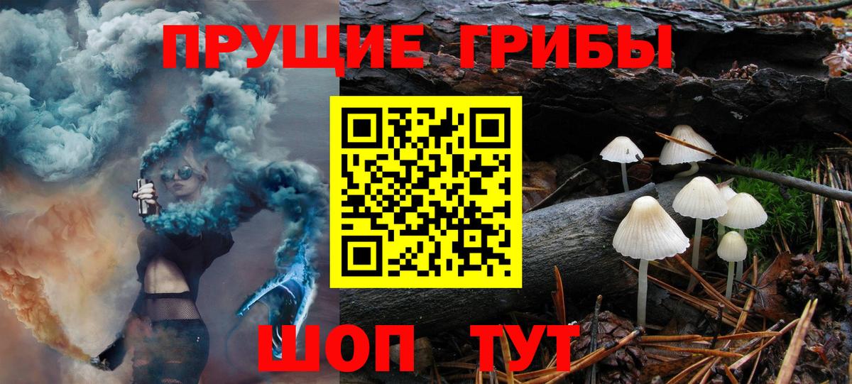 купить закладку  Вход с VPN  Знаменск  Псилоцибиновые грибы MAGIC MUSHROOMS 