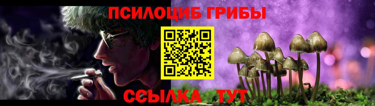 Галлюциногенные грибы Magic Shrooms Знаменск